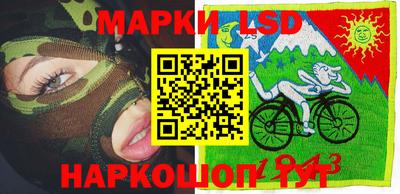 шишки Новозыбков