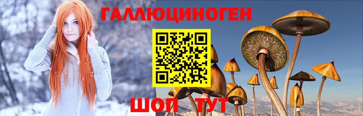 Галлюциногенные грибы мухоморы Сунжа