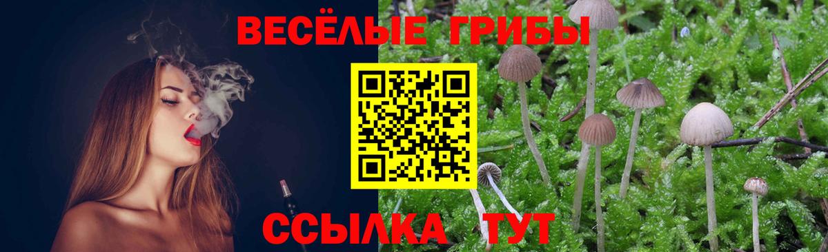 Галлюциногенные грибы Psilocybine cubensis  Вход с VPN  Сунжа 
